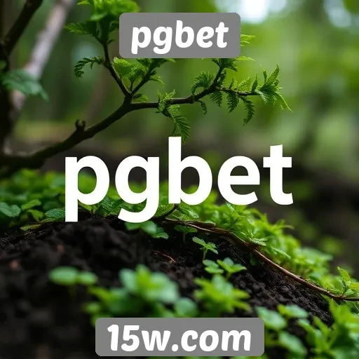 História e desenvolvimento do pgbet até 2025